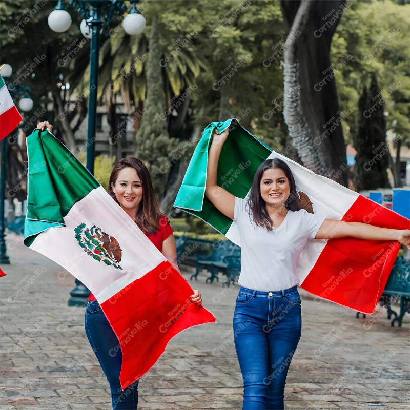 Bandera Grupo Carnavallia México Viva México Fiestas Patrias 150x90cm Satinada