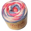 Peaches N Crème P&C Yarn, Beach House, 95 Yards