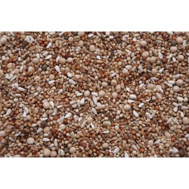 No Corn Special Pigeon Mix (13.5%) 8 lbs