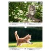 Katzenzauber DIN A4 Calendar for 2022 Cats and Cats Seelenzauber