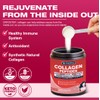 Multi Collagen Peptides Powder with Probiotics - Type I II