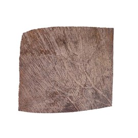 Generic Moose Antler Palm G4438, Natural Brown