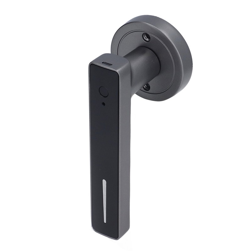 Smart Door Handle Fingerprint with 2 Key Fast Recognition Static