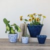 Creative Co-Op Stoneware Planter with Ruffled Edge and Drainage Hole