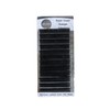 Alluring Royal Crown Volume Lashes/Classic Lashes D or C curl