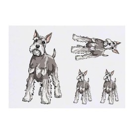 Azeeda 4 x 'Schnauzer Hund' Temporäre Tattoos - Wasserfest, Hautfreundlich & Ungiftig · Transfers in Verschiedenen Größen (TO00079224)