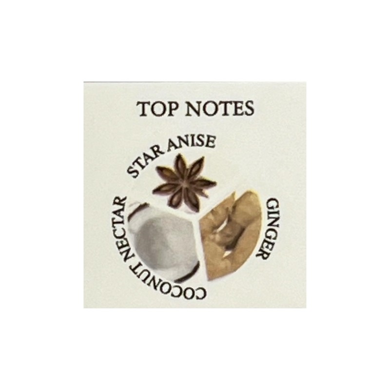 United Scents FOREVER YOURS for Men Eau de Parfum Spray,