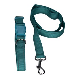 Fancy Pets Correa con Collar de Nylon para Perro con Bandas Reflejantes Tamaño Grande