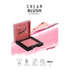 Pastel Pro Fashion Cream Blush No. 41