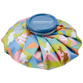 Skater ICB2-A Ice Bag, M, Moomin, Anime, 8.3 inches (21 cm)