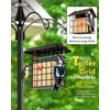 iBorn Suet Feeder Suet Bird Feeders [Double Capacity] for Outside