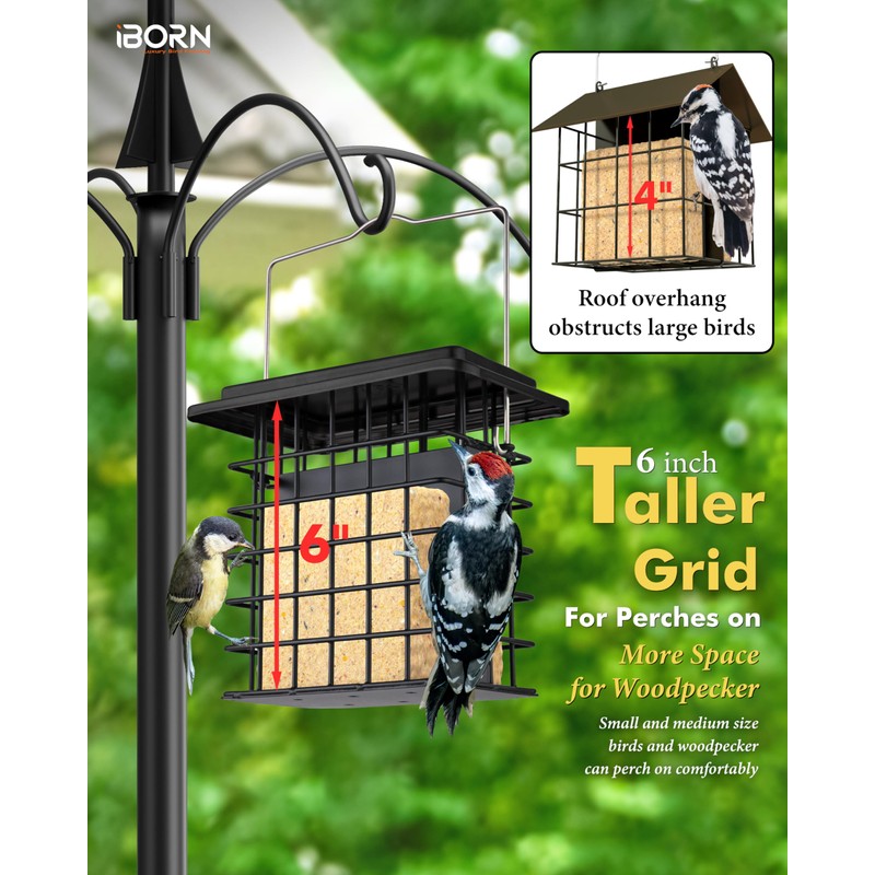 iBorn Suet Feeder Suet Bird Feeders [Double Capacity] for Outside