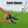 Agricultural Vegetables Fruits Pruning Shears Bonsai Pruner Picking Scissors Gardening