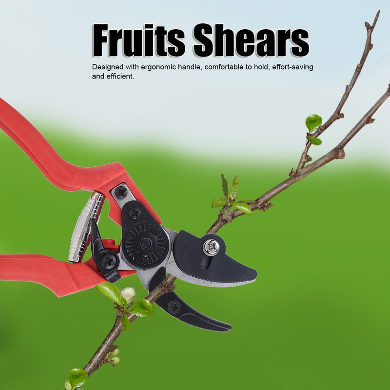 Agricultural Vegetables Fruits Pruning Shears Bonsai Pruner Picking Scissors Gardening