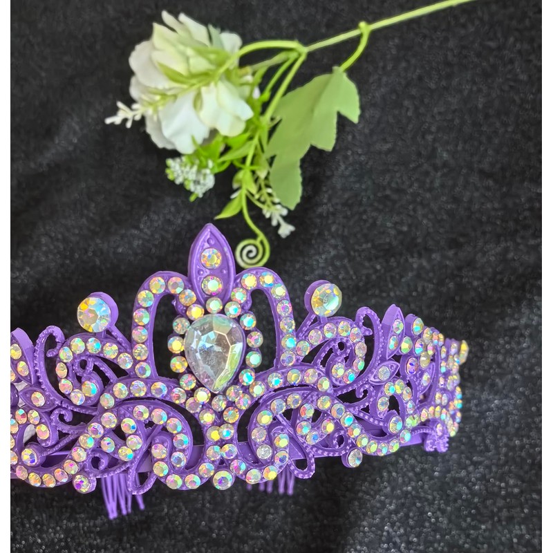 Retirement Tiara Sash Purple Officially Retired Crown Sash for Women