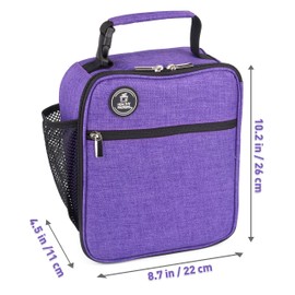 Healthy Packers Insulated Lunch Box for Adults and Kids w/ 2 Slim Long Lasting Ice Packs - Professional Work Lunch Bag for Men and Women - Heavy Duty School Lunchbox for Boys and Girls (Purple)