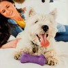 Playology Dog Toys Dual Layer Bone Chew Toy | Durable