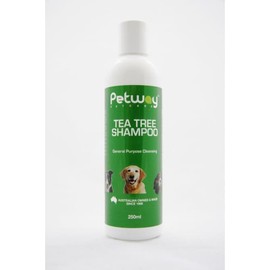 Petway Buy Petway Tea Tree Shampoo 250ml Online