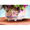 Bosmere Down Under Plant Stand,12", Clear
