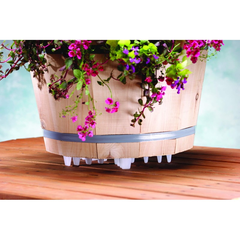 Bosmere Down Under Plant Stand,12", Clear