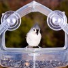 ETwinCoo All-Purpose Suction Cups Hooks [Combo Set] Reliable Strongest Window