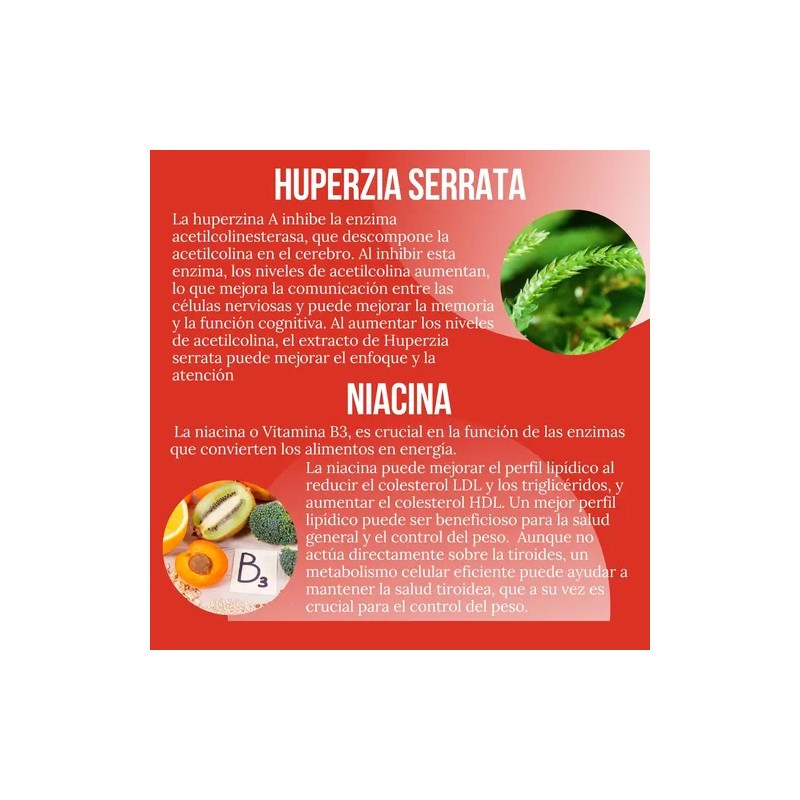 Quemador Grasa Extremo 90cáps + Citrato De Magnesio 120cáps