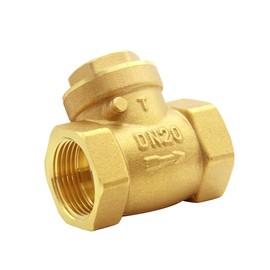 Joywayus 3/4” Female Thread Brass Horizontal Check Valve DN20 One-Way Non-return Swing Check Valve Prevent Water Backflow