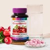 Holidays 홀리데이즈 크랜베리 타블렛 90정 1병 (3개월분) Holidays Cranberry Tablet