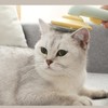 Pet Silicone Comb Comfortable Massage Self Cleaning Hair Removal Pet