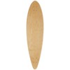Rout Peaks Pintail Longboard Complete