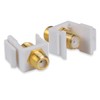 Conwork Ethernet & Coax Wall Plate - Cat6 Coax Keystone