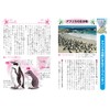 Showa B5 JL-48 Notebook, Japonica Study Book, Kanji Practice, 50