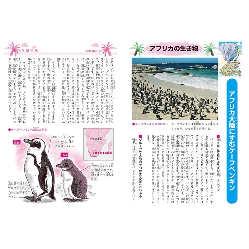 Showa B5 JL-48 Notebook, Japonica Study Book, Kanji Practice, 50