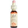 Batch Flower Remedy Aspen