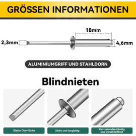 Dayalo 100pcs 4.8x16mm Aluminum Blind Rivets Pop Rivets Open End Rivets for Metal Storage Box Furniture Marine