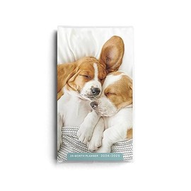 DaySpring - Sleeping Puppies 2024 – 2025 Planner - 28-Month - 2 Year Pocket Calendar (U0277)