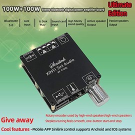 XY-C100L HiFi 100WX2 Bluetooth 5.0 High Power Digital Stereo Amplifier Board AUX USB AMP Amplificador Home Theater