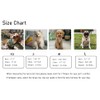 Dog Harness and Leash Set, Adjustable Dog Harness, Dog Leash,