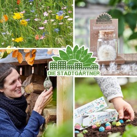 Die Stadtgärtner Feeding Bell Kit I DIY for Three Fat Balls I Feeder Bells for Birds Make Yourself I Crafts for the Whole Family I Lovingly Packaged Handmade in Germany