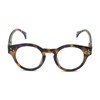 Readers.com Reading Glasses: The Wynn Blue Light Reader round Style