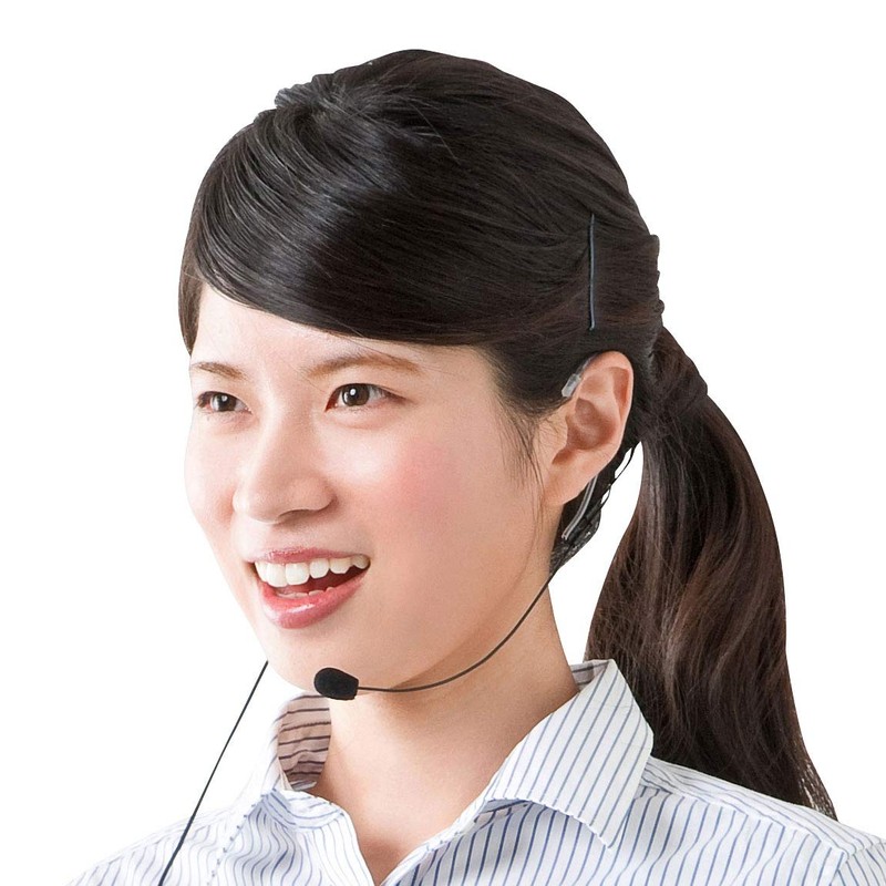Sanwa Supply MM-SPAMP6HM Waterproof Head Microphone
