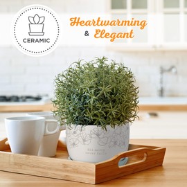 Christian Art Gifts White Ceramic Table Top Bible Verse Planter Pot w/Saucer Tray for Women: His Mercy Never Fails - Cute Indoor/Outdoor Floral w/Drainage Hole for Plants, Home & Flowers, White/Blue