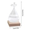 Storm Glass Weather Station,Water Drop Weather Predictor with Wood Base