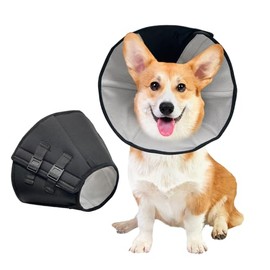 Apatal Dog Cone