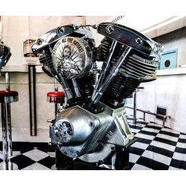 The Dirty Gringo Devil's Embrace Sexy Flash Tattoo Shovelhead Evo Timing Cover Harley Davidson