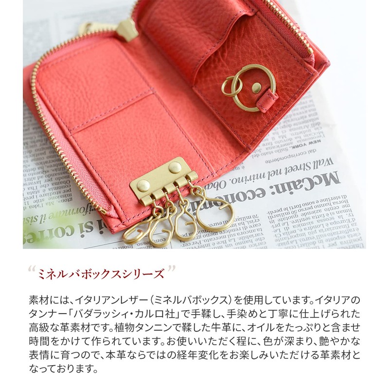 Baggy Port BAGGY'S Annex BP-LZYS8006 Key Case, green