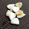 Jazz Tones Guitar Plectrum - White Horn (Single)