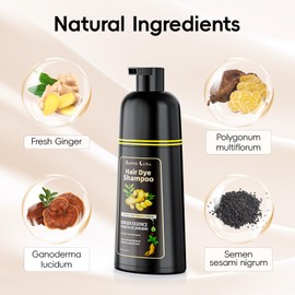 IIIMEIDU Hair Dye Shampoo 3 in 1, Natural Hair Dye Semi Permanent Hair Color, Gray Hair Cover Up, Ginger Essence shampoo for Color Treated Hair for Women and Men (500ml) Darkbrown