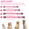 QQPETS Adjustable Soft Dog Collar: Print Flower Pink Multicolor Cute