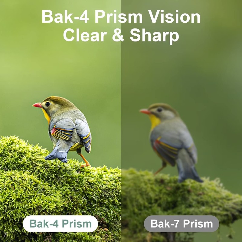 DRANBOL 12X25 Mini Pocket Binoculars for Adults Kids, Small Compact